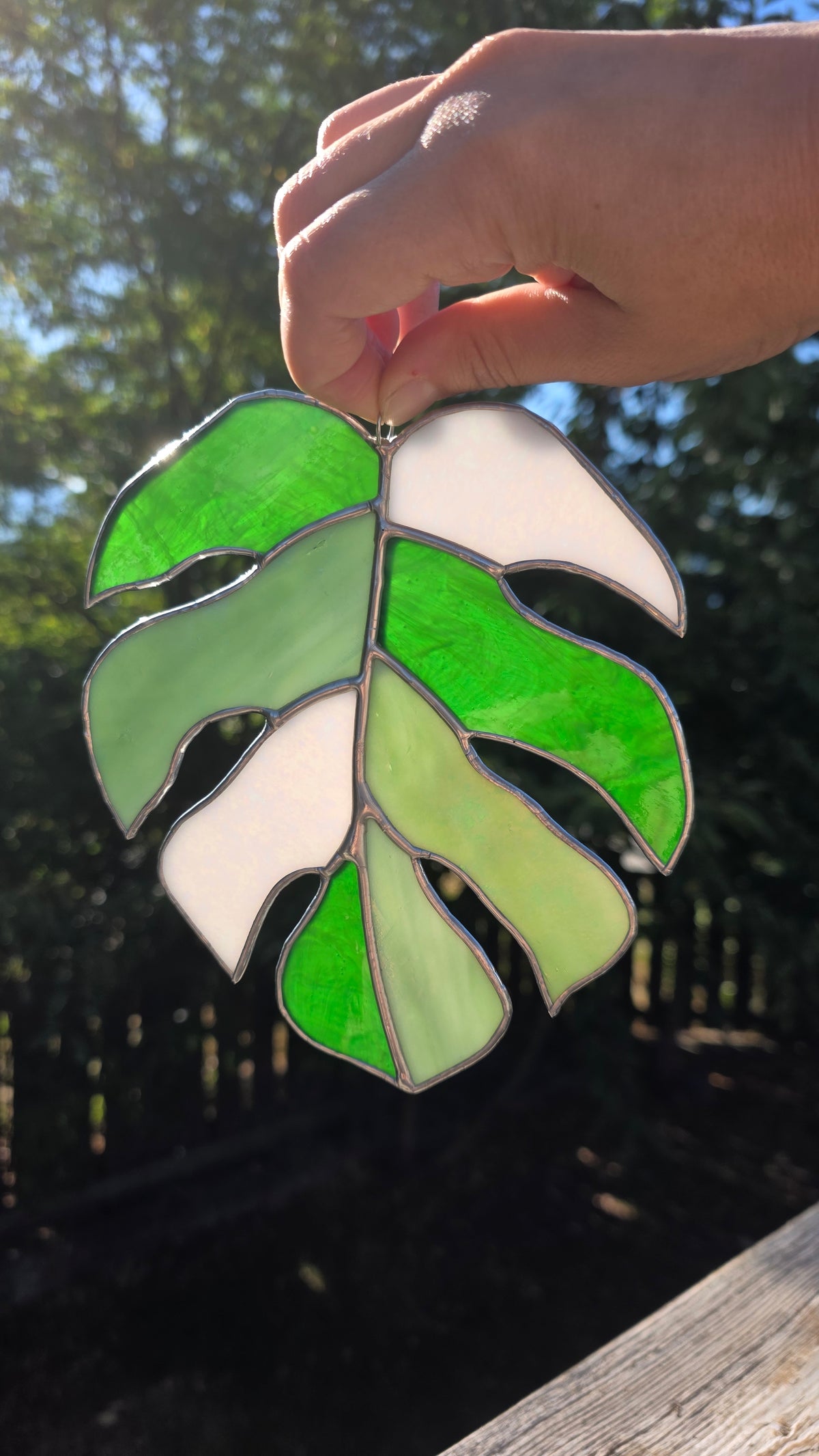 Medium Monstera Leaf Suncatcher