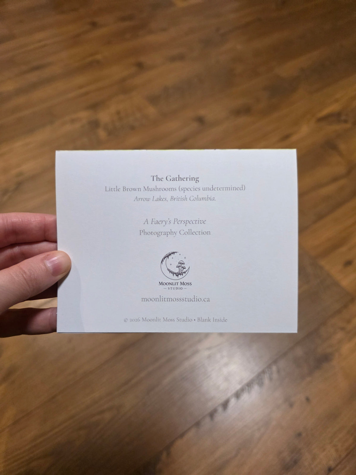 Greeting Cards - A Faery's Perspective