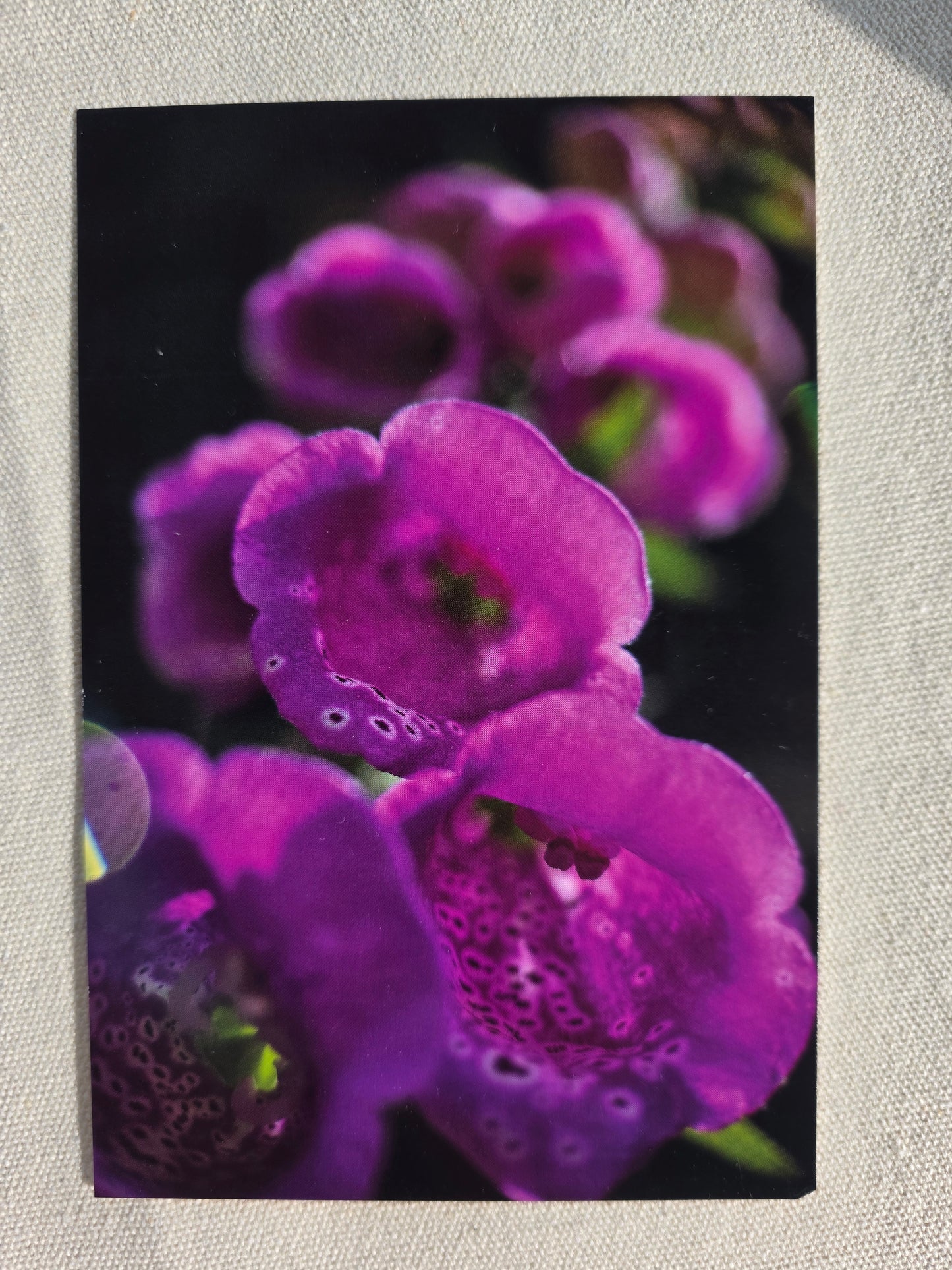 Postcards