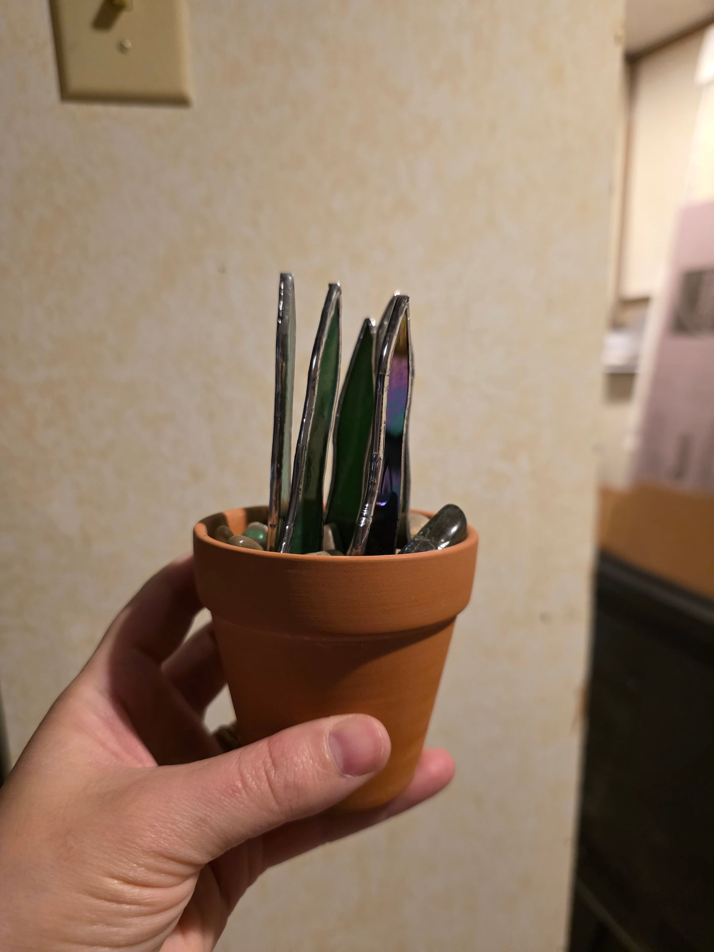 Potted Stained Glass Snake Plants