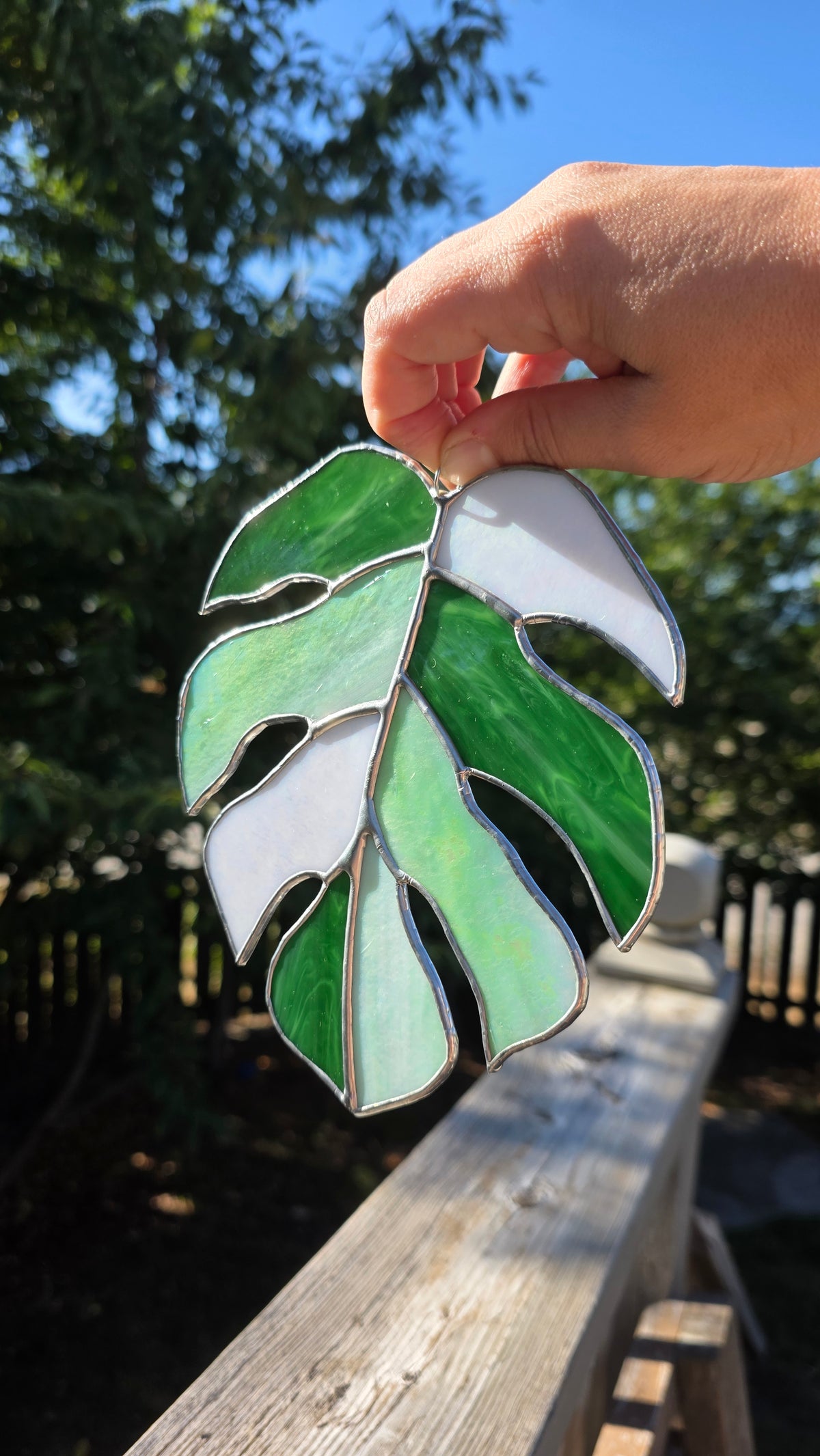 Medium Monstera Leaf Suncatcher