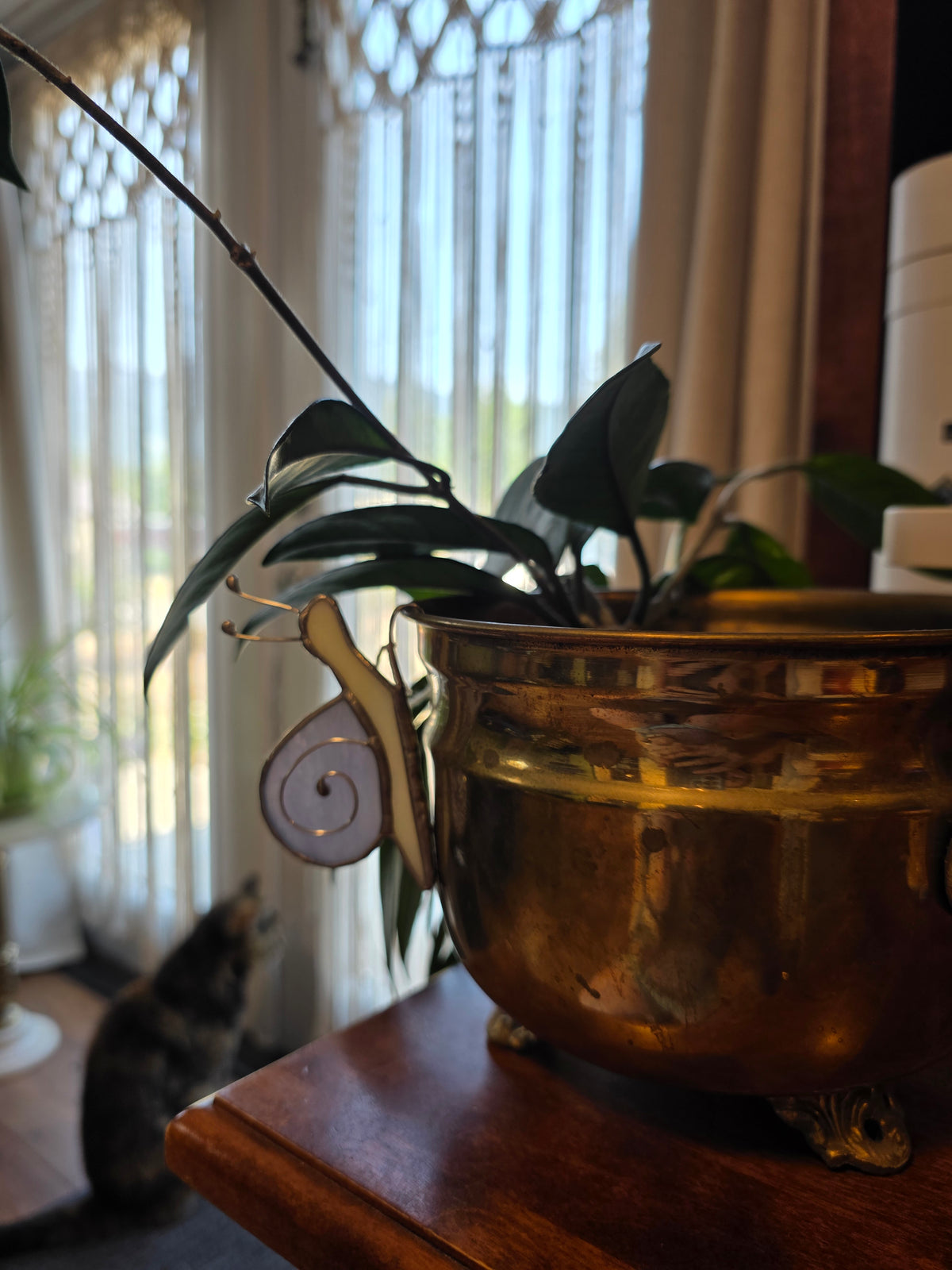 Snail Pot Hanger