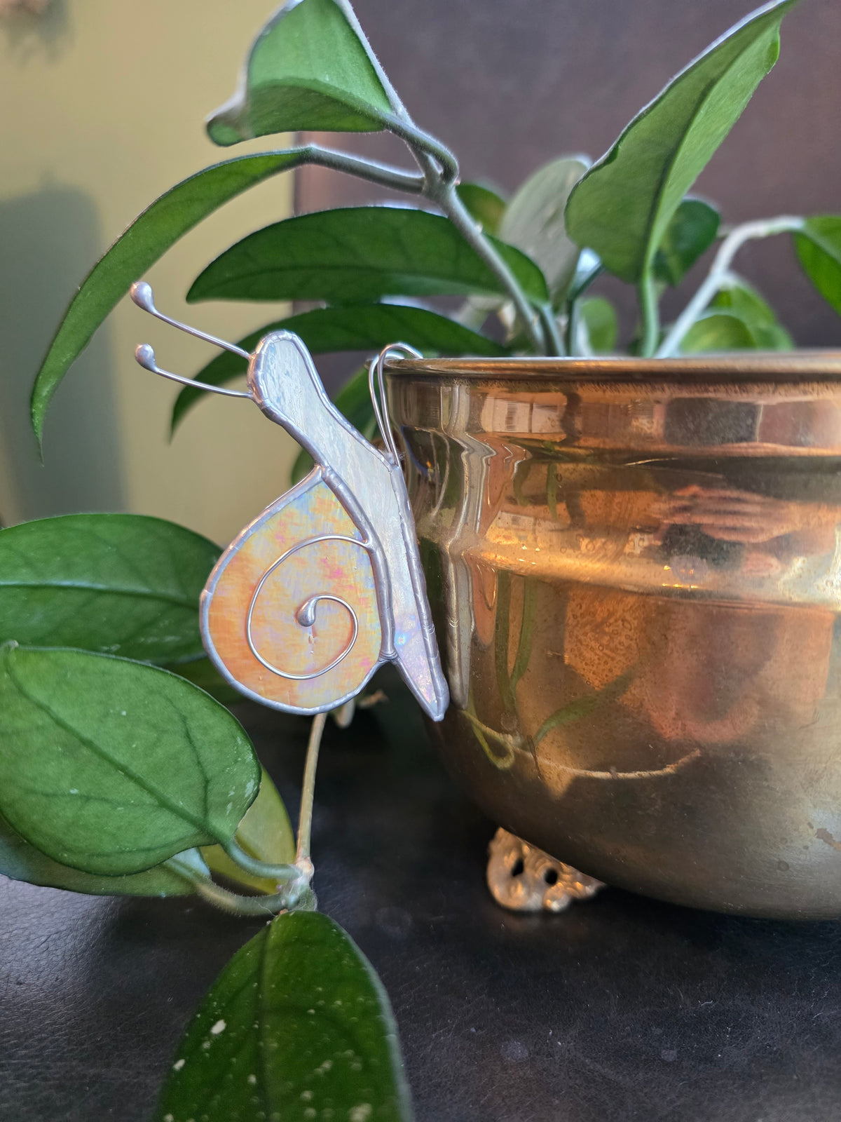 Snail Pot Hanger