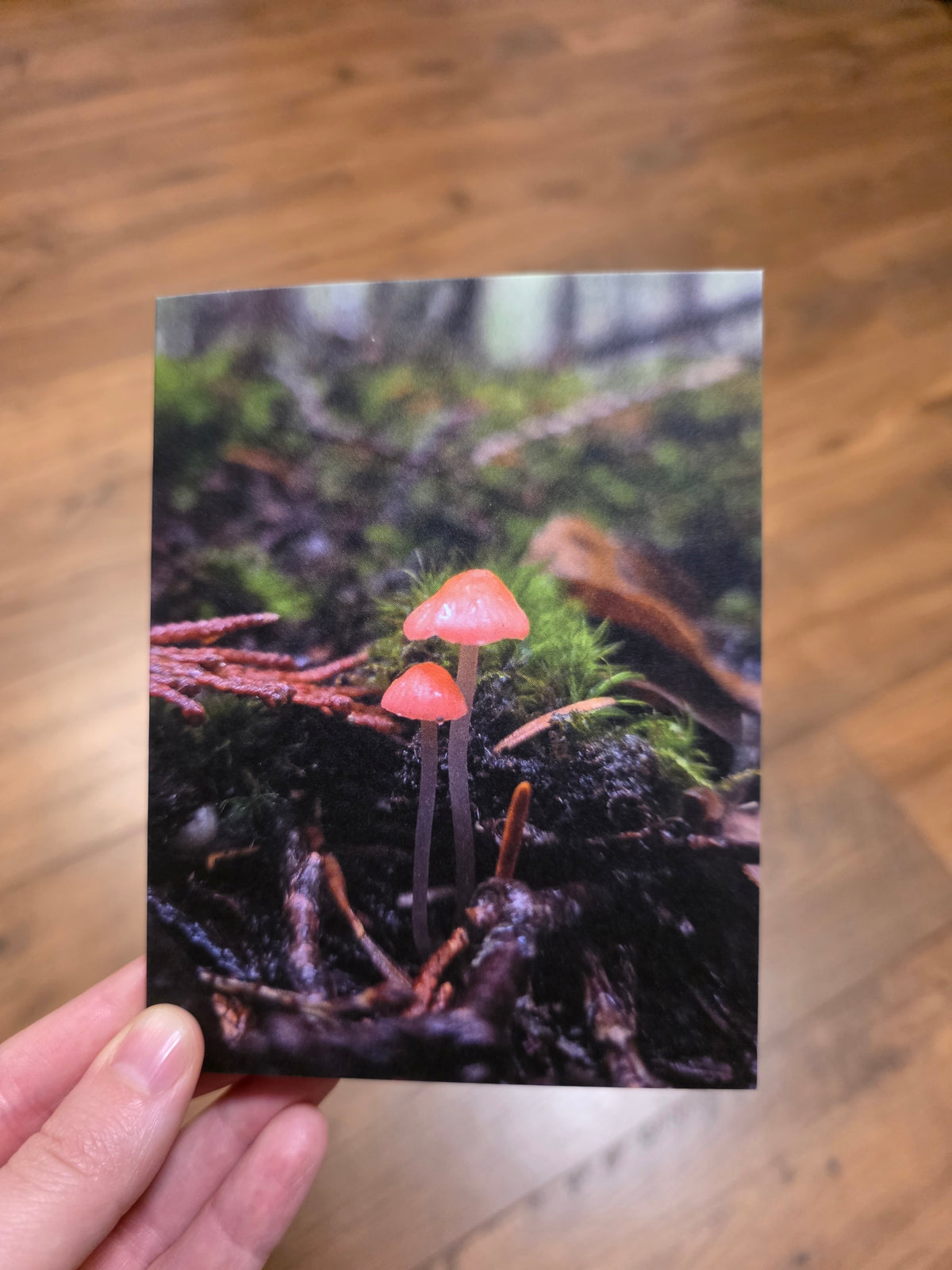 Greeting Cards - A Faery's Perspective