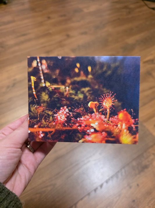 Greeting Cards - A Faery's Perspective