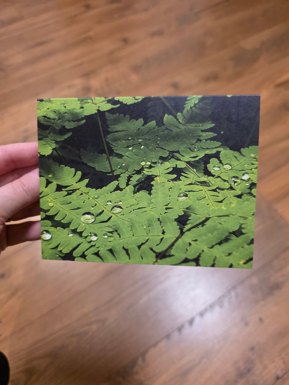 Greeting Cards - A Faery's Perspective