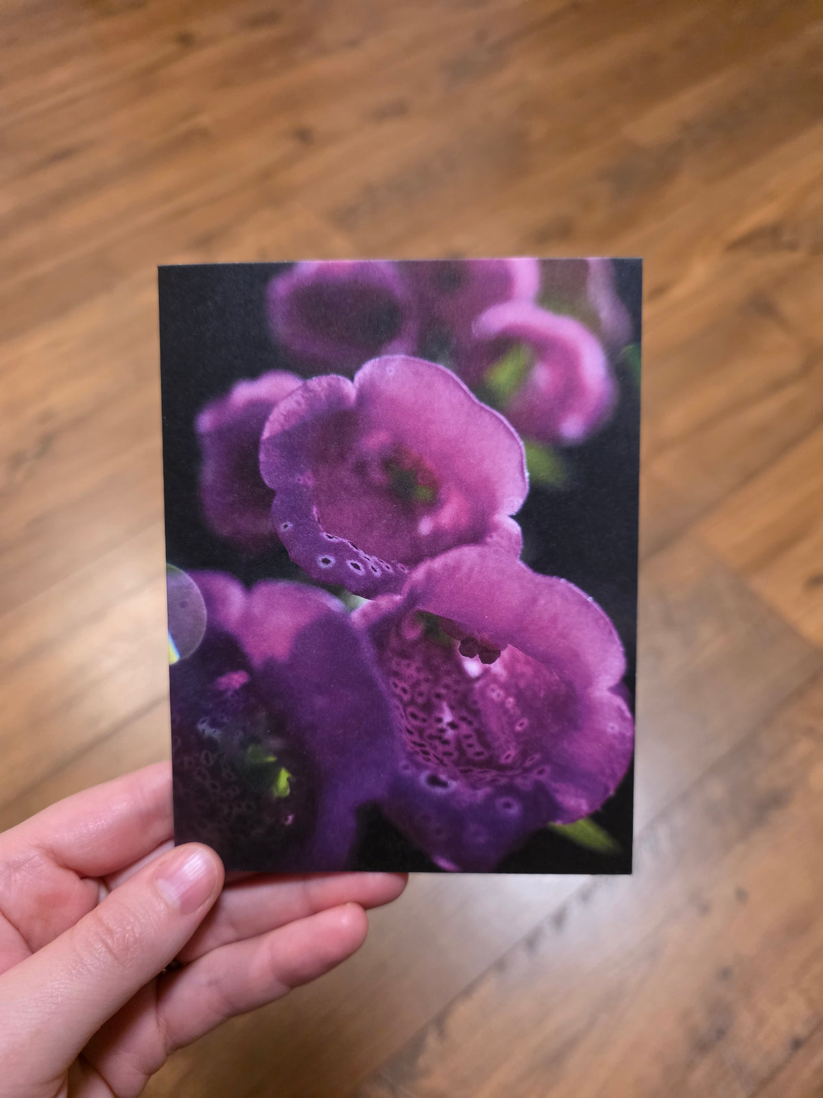 Greeting Cards - A Faery's Perspective