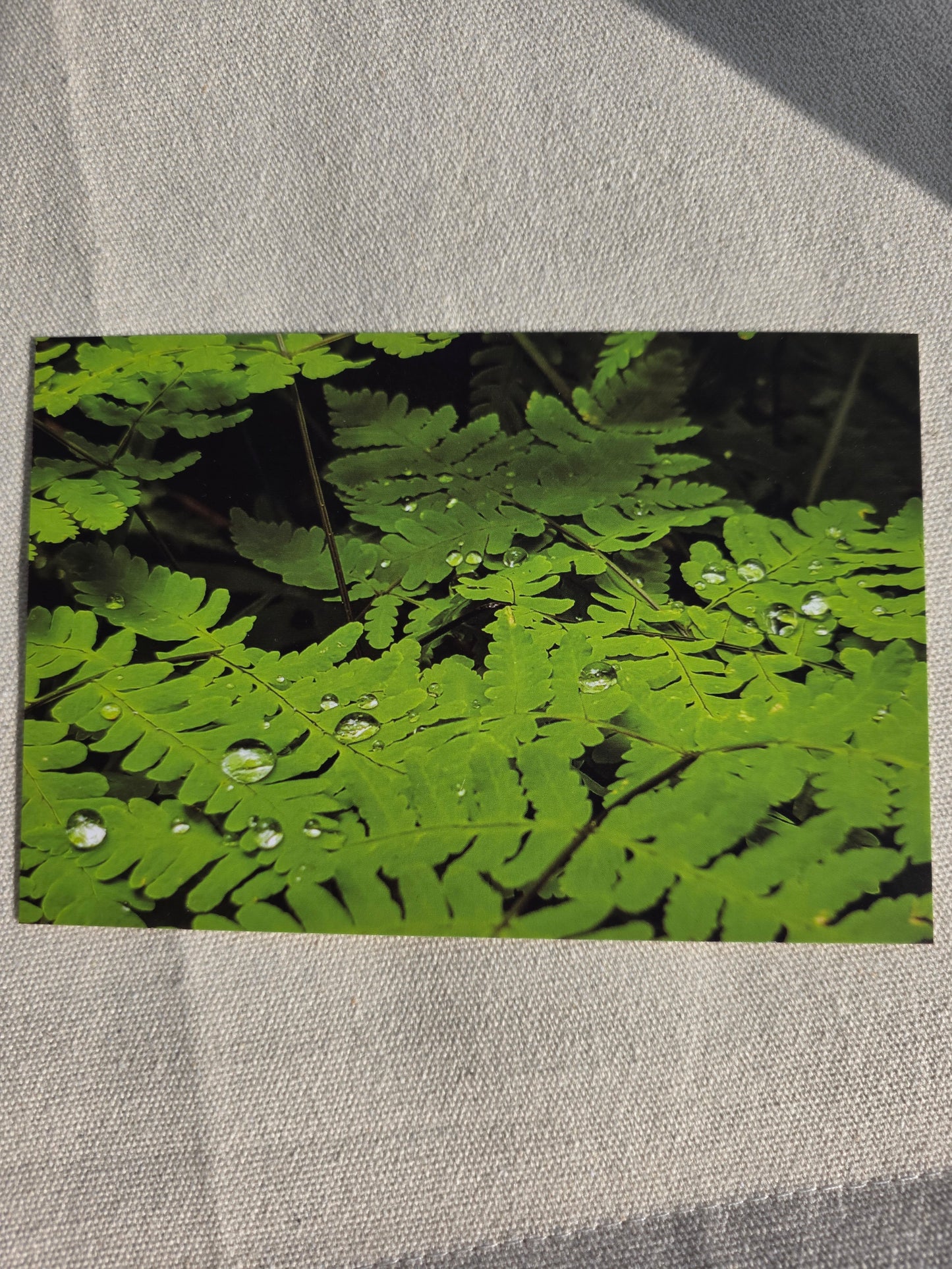 Postcards