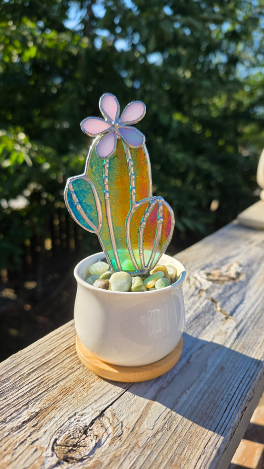Potted Cactus #1