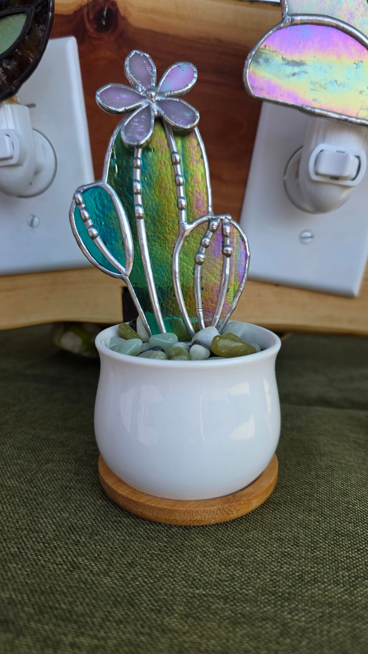 Potted Cactus