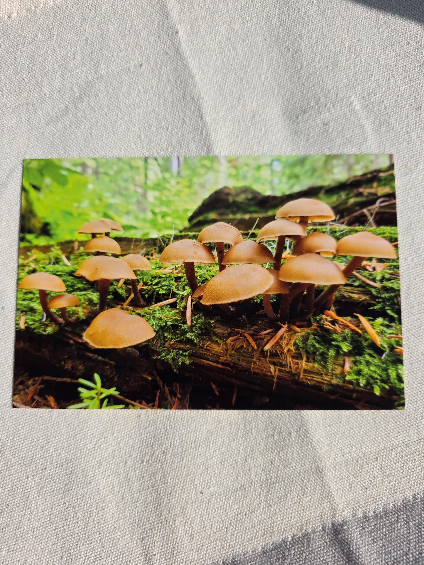Postcards