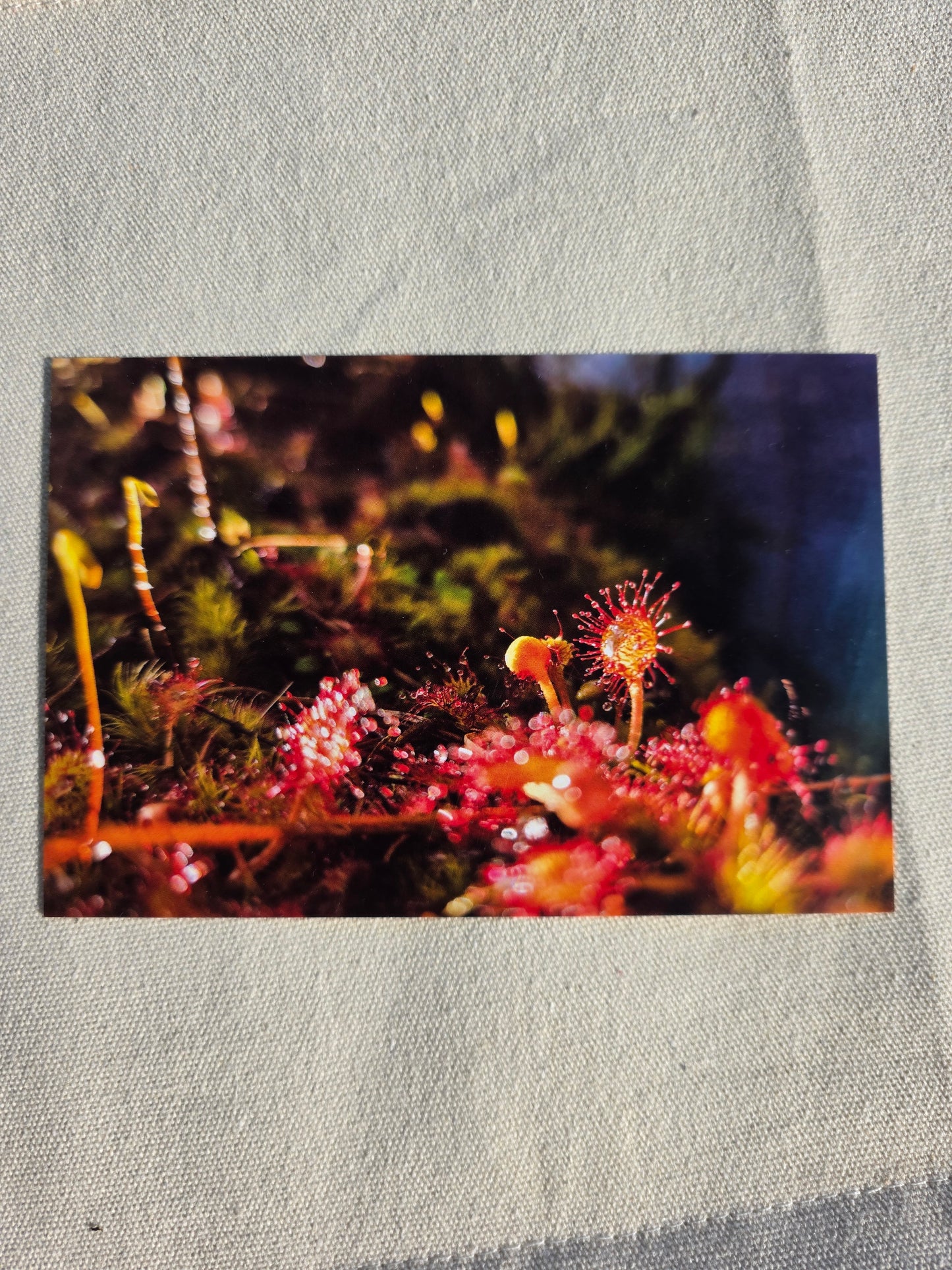 Postcards