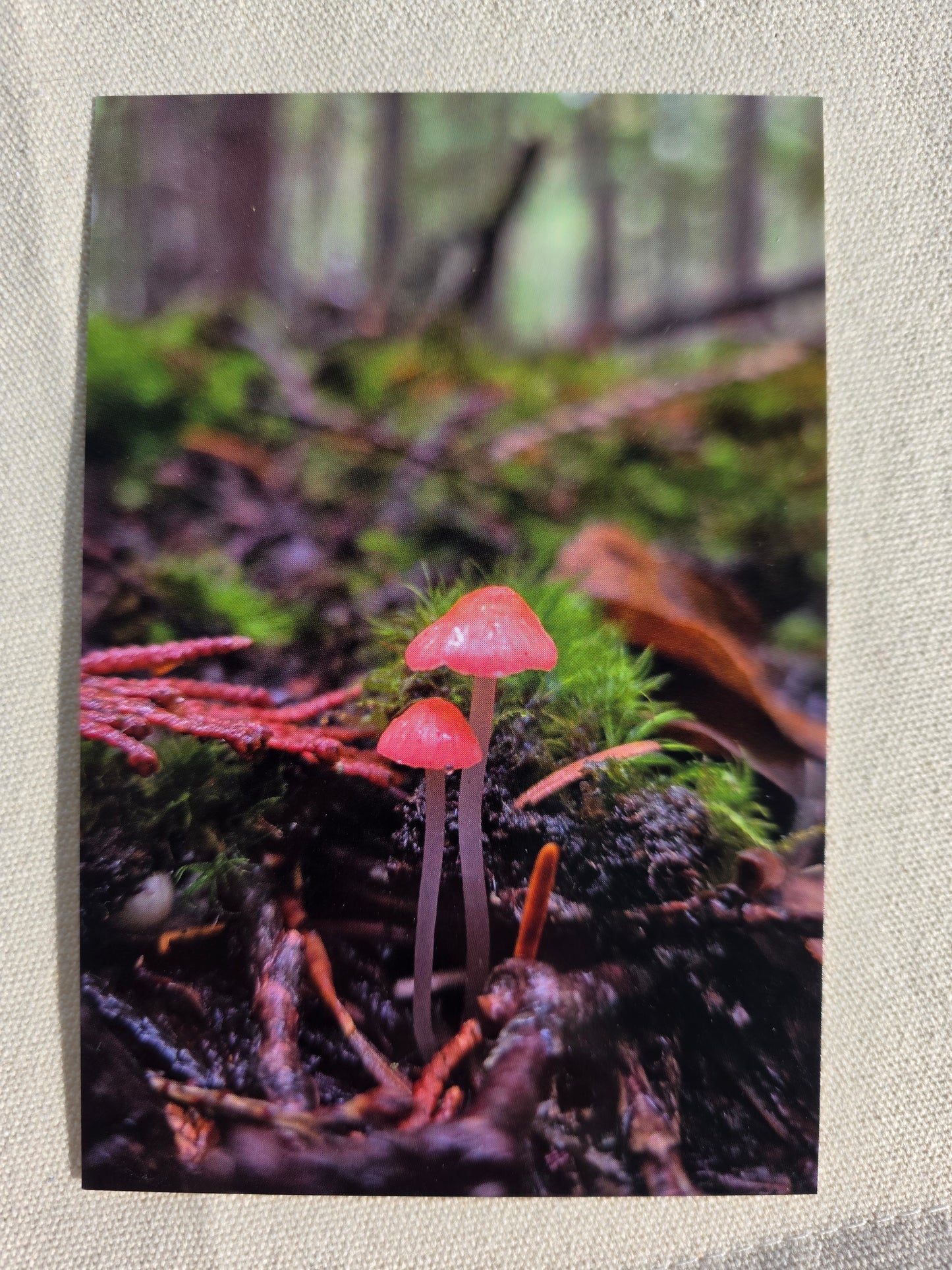 Postcards